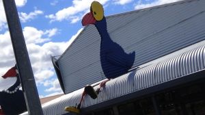 Okay, a giant pukeko (pooh-keck-oh) made of corrugated iron.