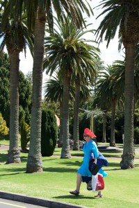 Random "Kiwi" in the breezy park.