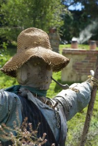 Even the scarecrows are content.