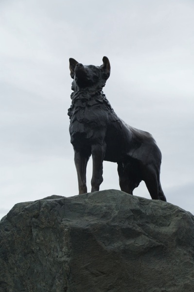 IMG_2279.jpg IMG 2279