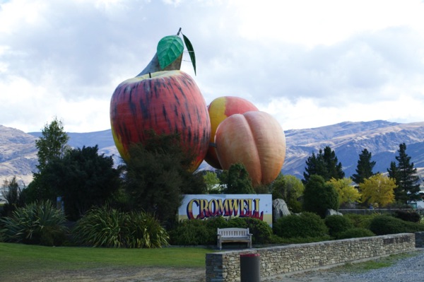 IMG_2335.jpg IMG 2335