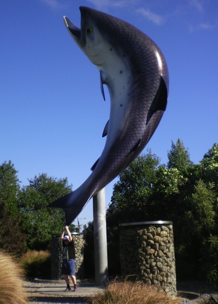 SANY0262.jpg SANY0262