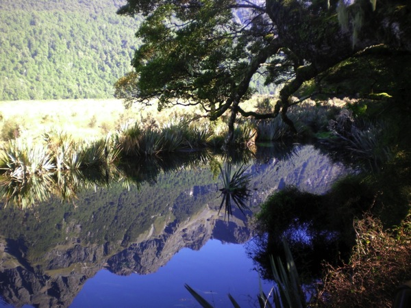 SANY0346.jpg SANY0346