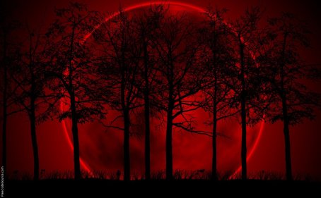 blood moon